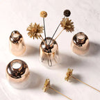 Nyord Golden Glass Vases