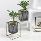 Blackhaus - Freestanding Metal Box Planter