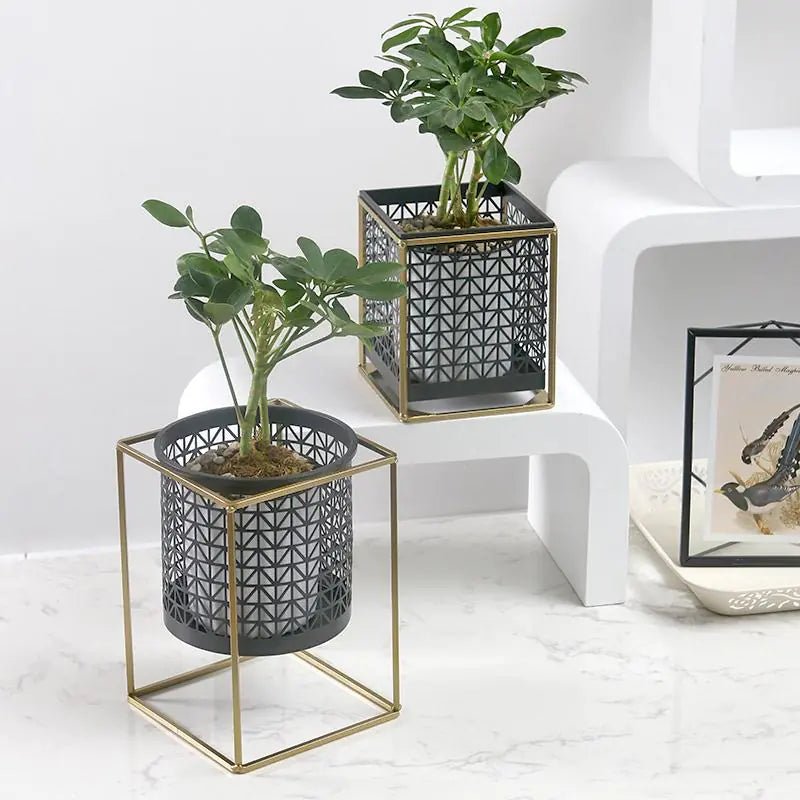 Blackhaus - Freestanding Metal Box Planter